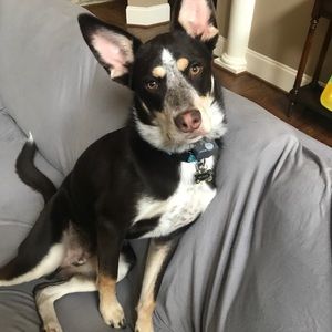 Meet your Posher, Kate